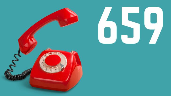 Area Code 659 — Meaning, Usage and Context